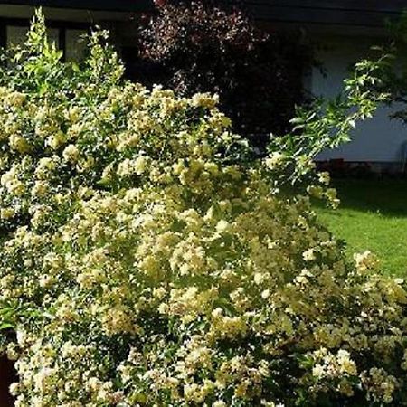 Haus Christl Bed and Breakfast Lana Εξωτερικό φωτογραφία