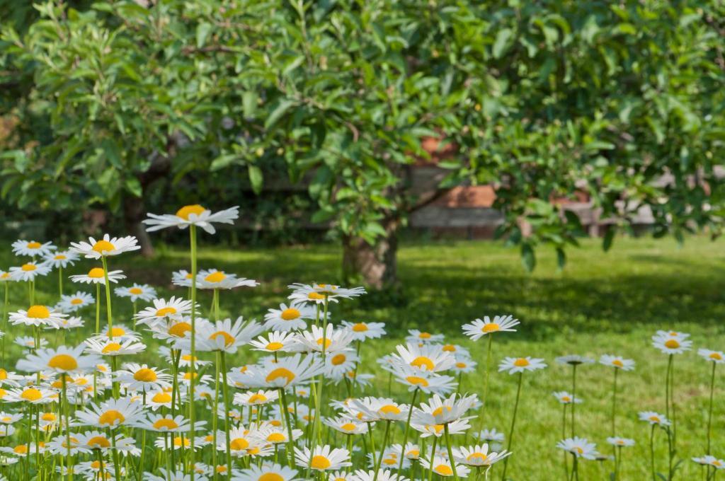 Haus Christl Bed and Breakfast Lana Εξωτερικό φωτογραφία