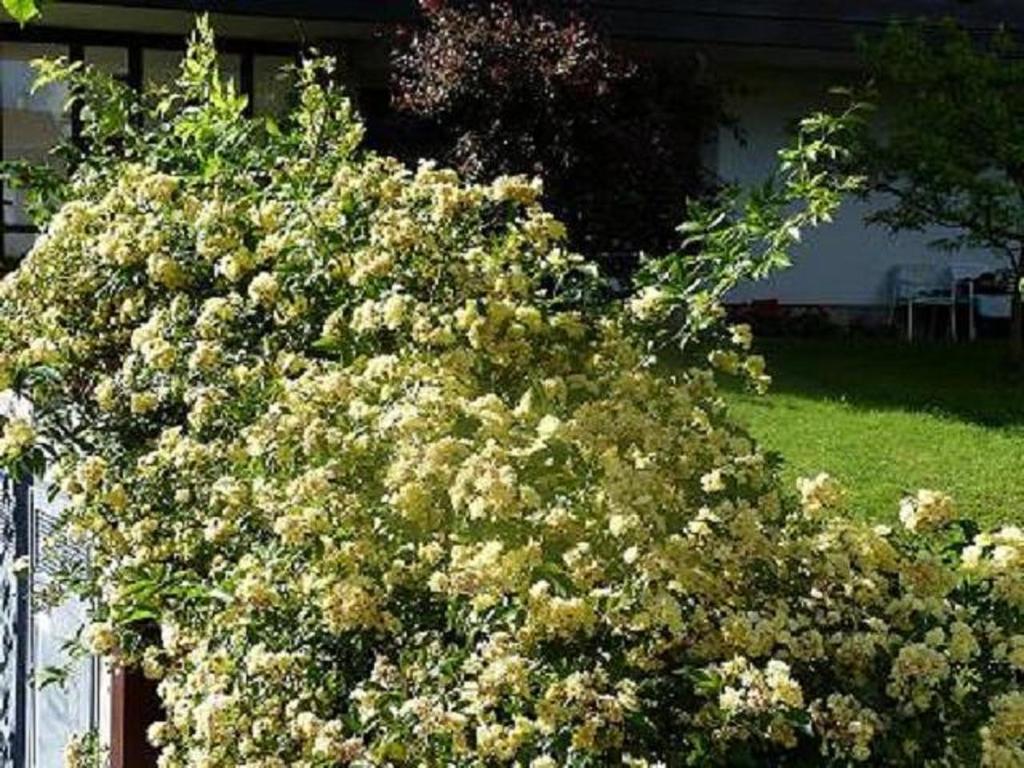 Haus Christl Bed and Breakfast Lana Εξωτερικό φωτογραφία